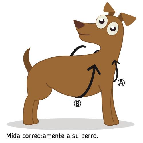 PADDED XL HARNAIS - Petdesign.fr Setter Bakio S.L. Produits Iba pour chien en France, produit de haute qualité