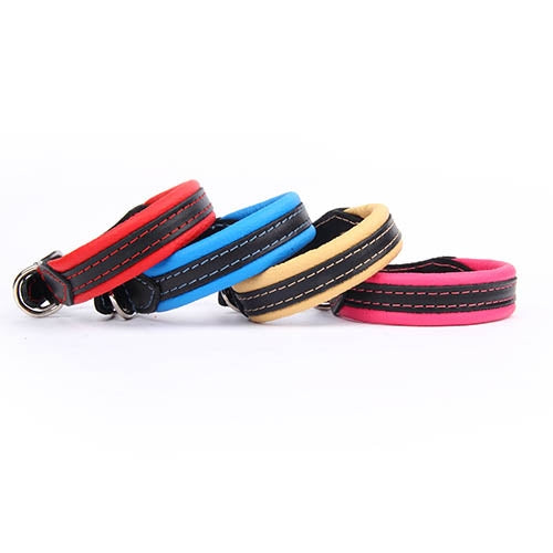 #N/A - Petdesign.fr Setter Bakio S.L. Produits Iba pour chien en France, produit de haute qualité