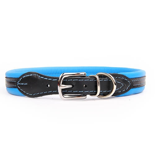 #N/A - Petdesign.fr Setter Bakio S.L. Produits Iba pour chien en France, produit de haute qualité