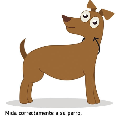 ARRONDI NOIR NYLON COLLET 4MM / 20CM - Petdesign.fr Setter Bakio S.L. Produits Iba pour chien en France, produit de haute qualité