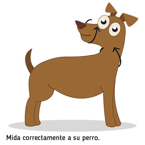 IBÁÑEZ Dogway CHIEN GUIDER XS - Petdesign.fr Setter Bakio S.L. Produits Iba pour chien en France, produit de haute qualité