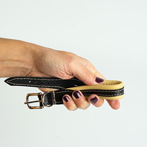 #N/A - Petdesign.fr Setter Bakio S.L. Produits Iba pour chien en France, produit de haute qualité