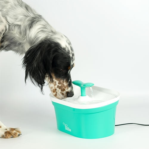 BLOSSOM PET Abreuvoirs 2,8 L - Petdesign.fr Setter Bakio S.L. Produits Iba pour chien en France, produit de haute qualité