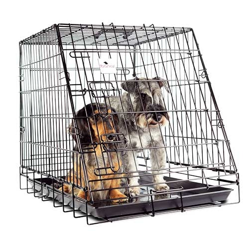 Cage pour VOITURE - Petdesign.fr Setter Bakio S.L. Produits Iba pour chien en France, produit de haute qualité