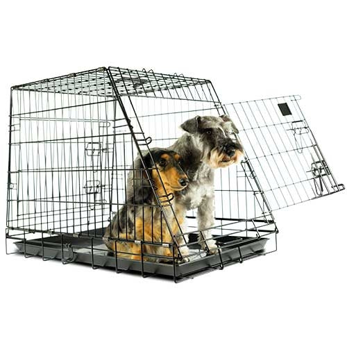 Cage pour VOITURE - Petdesign.fr Setter Bakio S.L. Produits Iba pour chien en France, produit de haute qualité