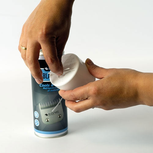 IBÁÑEZ SPRAY REFROIDISSEMENT - Petdesign.fr Setter Bakio S.L. Produits Iba pour chien en France, produit de haute qualité