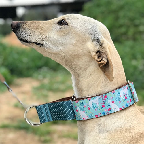 « ETHNIQUE » MARTINGALE COLLET 40MM x 30-40 cm - Petdesign.fr Setter Bakio S.L. Produits Iba pour chien en France, produit de haute qualité