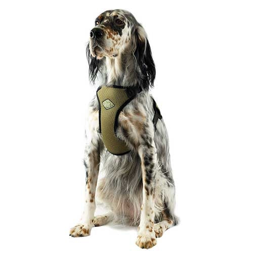 PADDED XL HARNAIS - Petdesign.fr Setter Bakio S.L. Produits Iba pour chien en France, produit de haute qualité