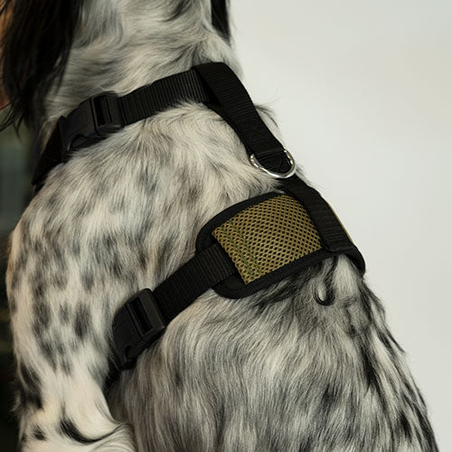PADDED XL HARNAIS - Petdesign.fr Setter Bakio S.L. Produits Iba pour chien en France, produit de haute qualité