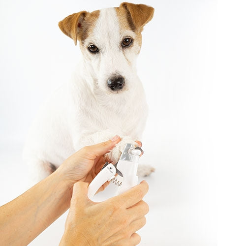 IBAÑEZ LED coupe-ongles - Petdesign.fr Setter Bakio S.L. Produits Iba pour chien en France, produit de haute qualité