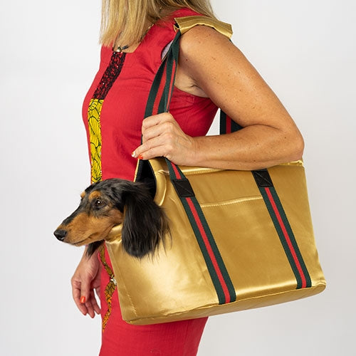 #N/A - Petdesign.fr Setter Bakio S.L. Produits Iba pour chien en France, produit de haute qualité