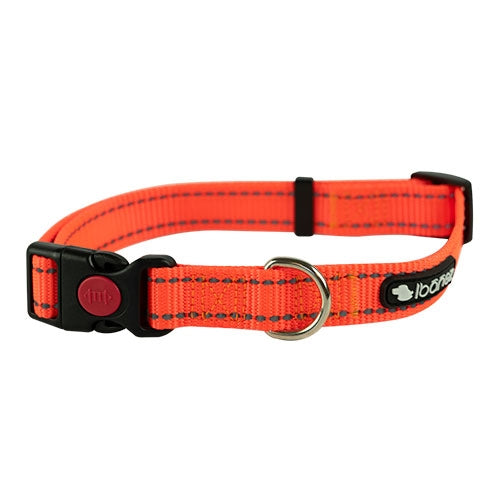 ORANGE RÉFLÉCHISSANT COLLET WIENERLOCK 1.5x30-45cm - Petdesign.fr Setter Bakio S.L. Produits Iba pour chien en France, produit de haute qualité