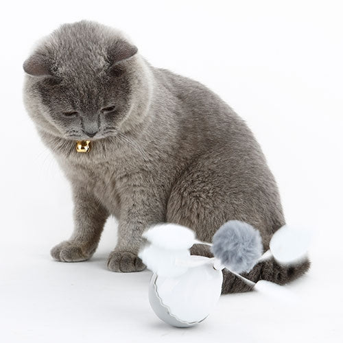 Oeuf électronique - Petdesign.fr Setter Bakio S.L. pour chien en France, produit de haute qualité