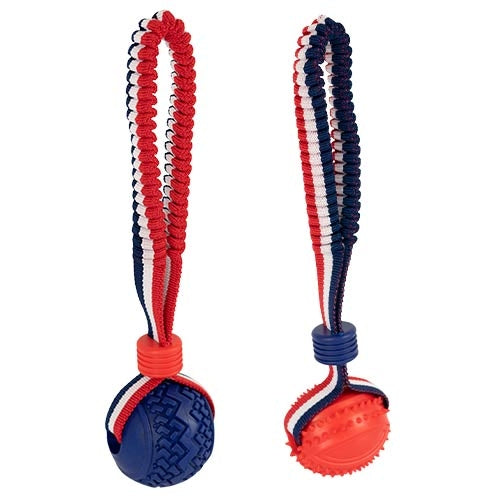 Balle avec lanceur élastique ludique - Petdesign.fr Setter Bakio S.L. Vie Quotidienne pour chien en France, produit de haute qualité