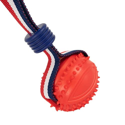 Balle avec lanceur élastique ludique - Petdesign.fr Setter Bakio S.L. Vie Quotidienne pour chien en France, produit de haute qualité