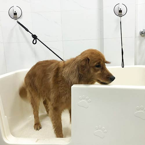Disque avec boucle pour baignoires - Petdesign.fr Setter Bakio S.L. pour chien en France, produit de haute qualité