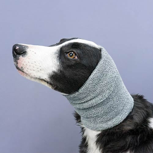Snood Ear Protection - Isole du bruit et Calme pendant toilettage