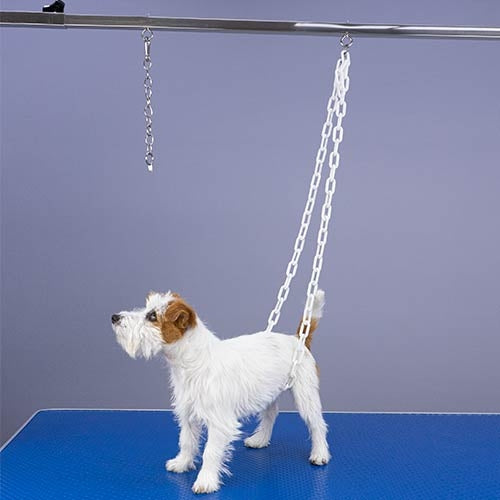Chainette Potence / Sangle en Plastique 1,50m pour Table de Toilettage
