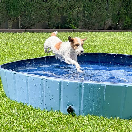 Dog pool (3 sizes to choose from)