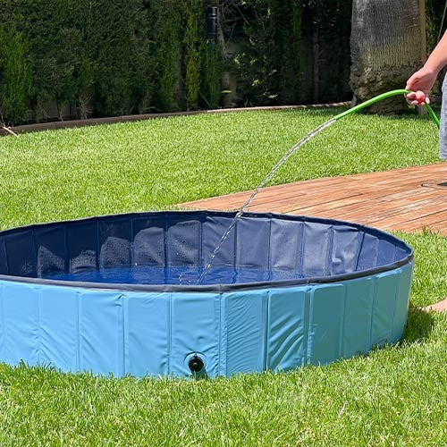 Piscine pour chien (3 tailles au choix)