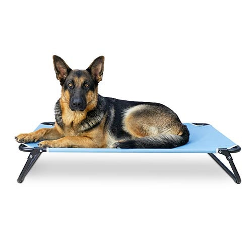 High Comfort "ON Top" Dog Bed