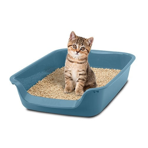 Plateau pour chats 'Toilettes Junior' - Petdesign.fr PetDesign shop 100% CHATS pour chien en France, produit de haute qualité