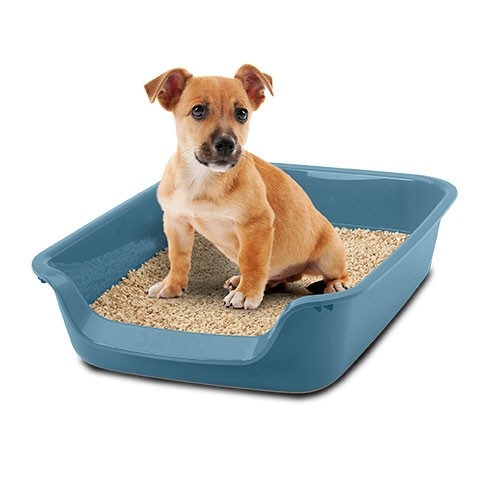 Plateau pour chats 'Toilettes Junior' - Petdesign.fr PetDesign shop 100% CHATS pour chien en France, produit de haute qualité