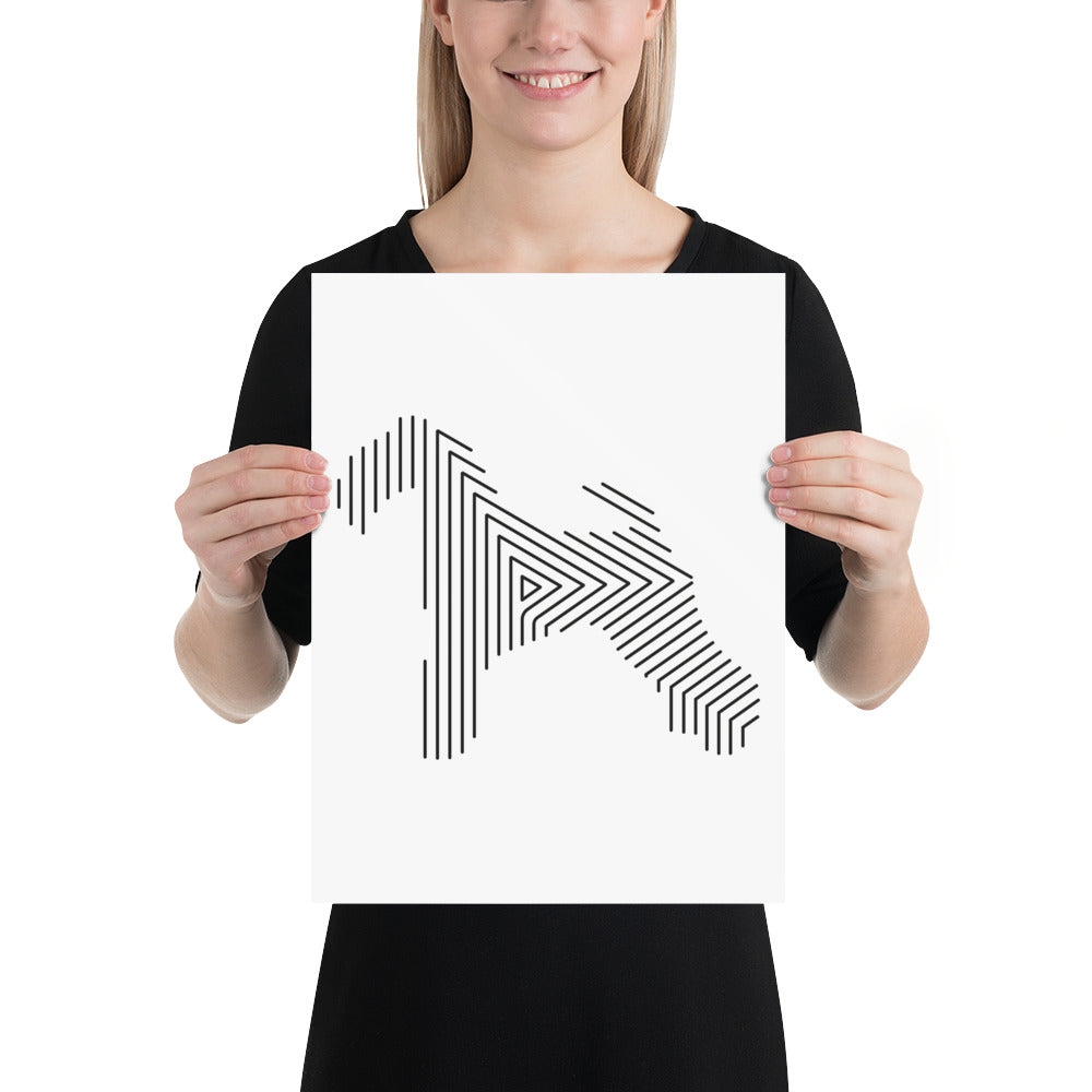 Affiche sur Papier Photo Kerry Blue