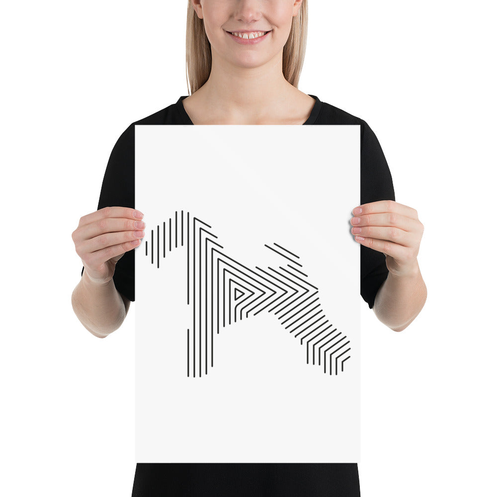 Affiche sur Papier Photo Kerry Blue