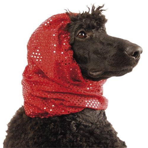 Snood Ear Protection - Isole du bruit et Calme pendant toilettage - Petdesign.fr Setter Bakio S.L. Toilettage pour chien en France, produit de haute qualité