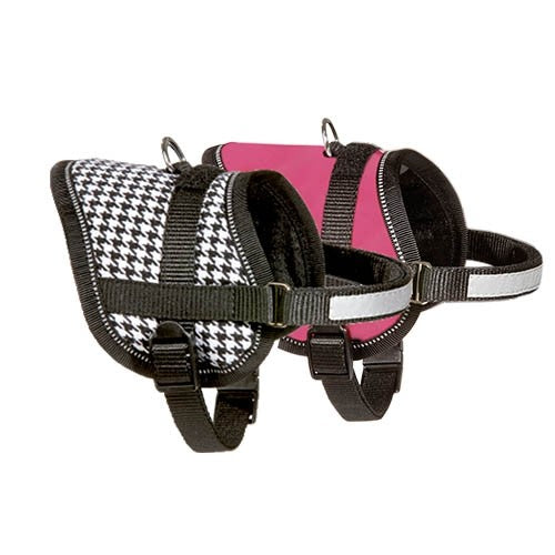 Teeny-Weeny Harnais - Petdesign.fr Setter Bakio S.L. Vie Quotidienne pour chien en France, produit de haute qualité