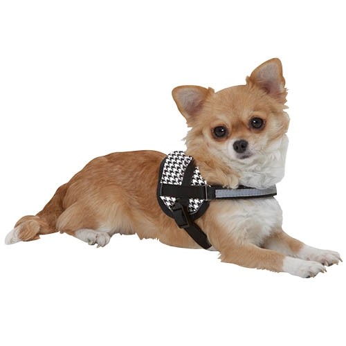 Teeny-Weeny Harnais - Petdesign.fr Setter Bakio S.L. Vie Quotidienne pour chien en France, produit de haute qualité