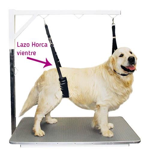 Ceinture Ventrale pour Chien toilettage - Accroche potence - Petdesign.fr Setter Bakio S.L. Toilettage pour chien en France, produit de haute qualité