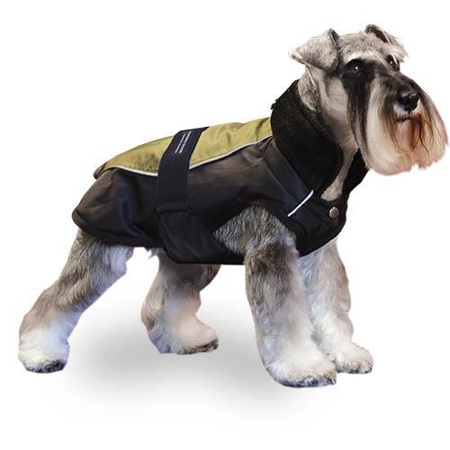 Manteau Chien Vert Trek Breathe Comfort - Petdesign.fr Setter Bakio S.L. Vie Quotidienne pour chien en France, produit de haute qualité