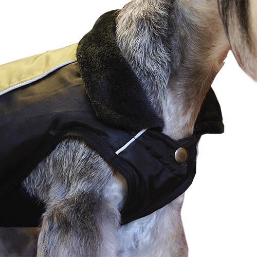 Manteau Chien Vert Trek Breathe Comfort - Petdesign.fr Setter Bakio S.L. Vie Quotidienne pour chien en France, produit de haute qualité